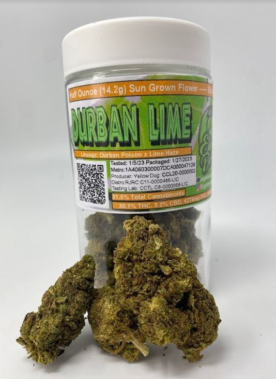 Durban Lime Jar (14g ½ oz) Eighth Brother