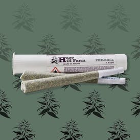 Banana Bread King Size Preroll