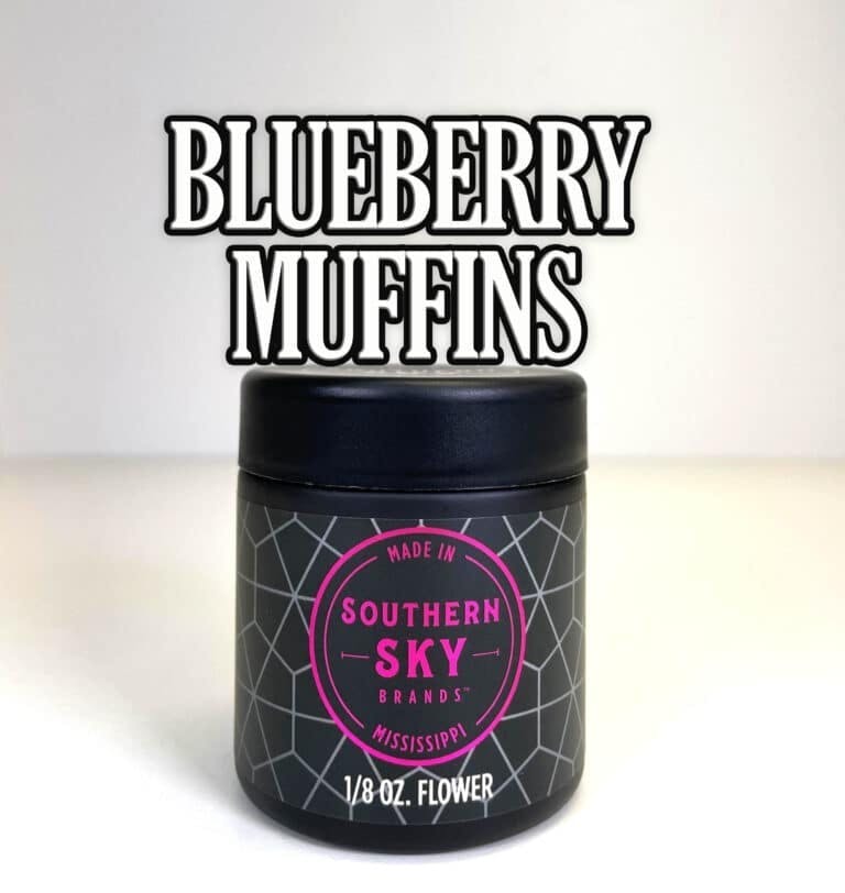 Blueberry Muffin