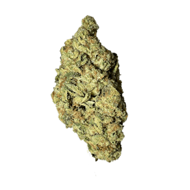Black - Cereal Milk (H) - 14g