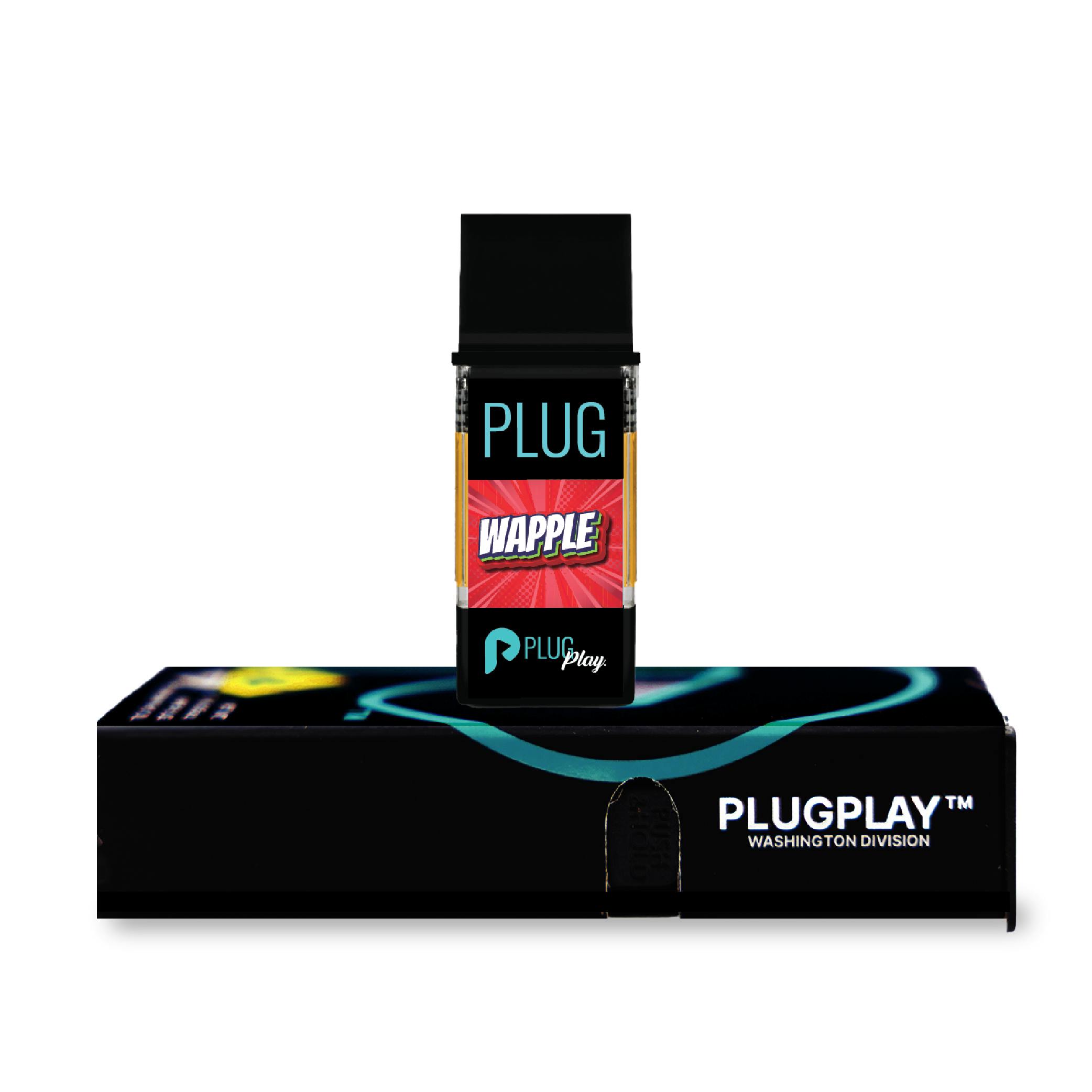 PlugPlay: Plug Washington: Wapple