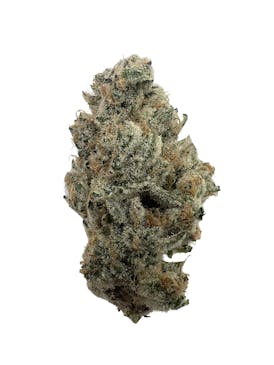 Super Boof - Indico