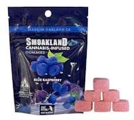 Gummies 2.0 - Blue Raspberry - 100mg