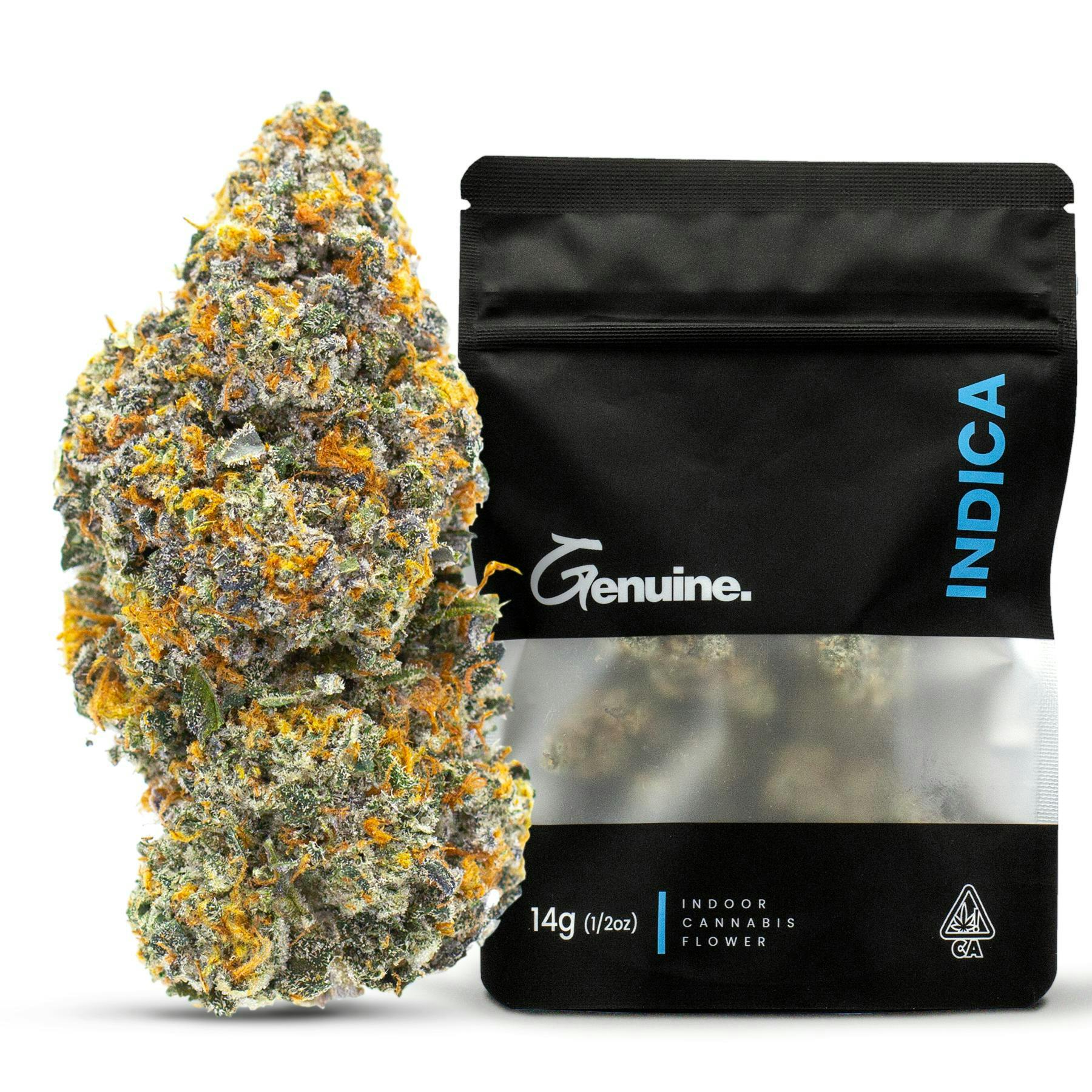 Genuine: Gelato 41