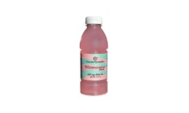 300mg Watermelon Punch Drink | Coastal Remedies