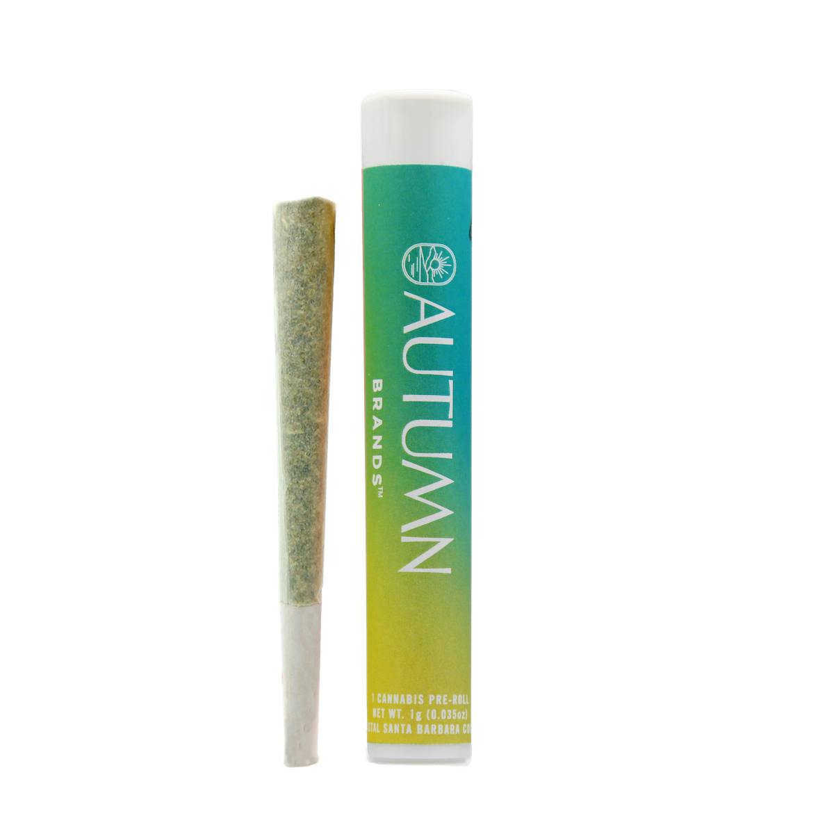 Jet Fuel Gelato 1 Gram Preroll Autumn Brands