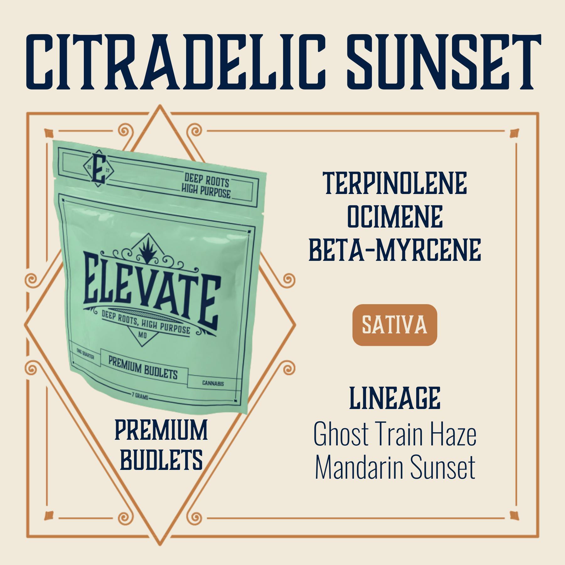 Citradelic Sunset - 7g Budlets