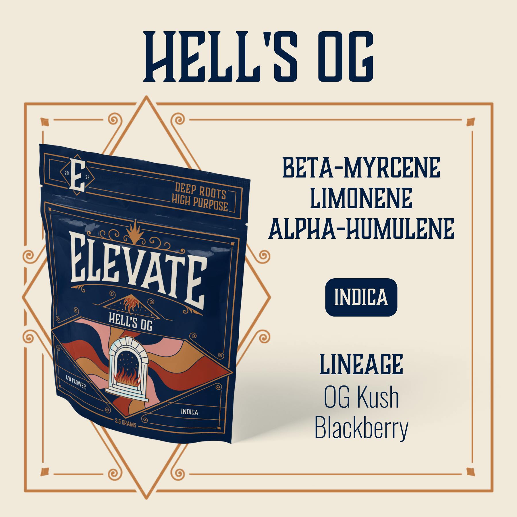 Hell's OG - 3.5g by Elevate Missouri