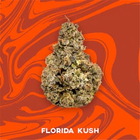 Vivid - Florida Kush - Indica