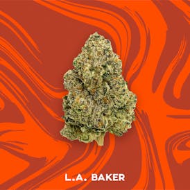 Vivid - LA Baker - Indica Hybrid