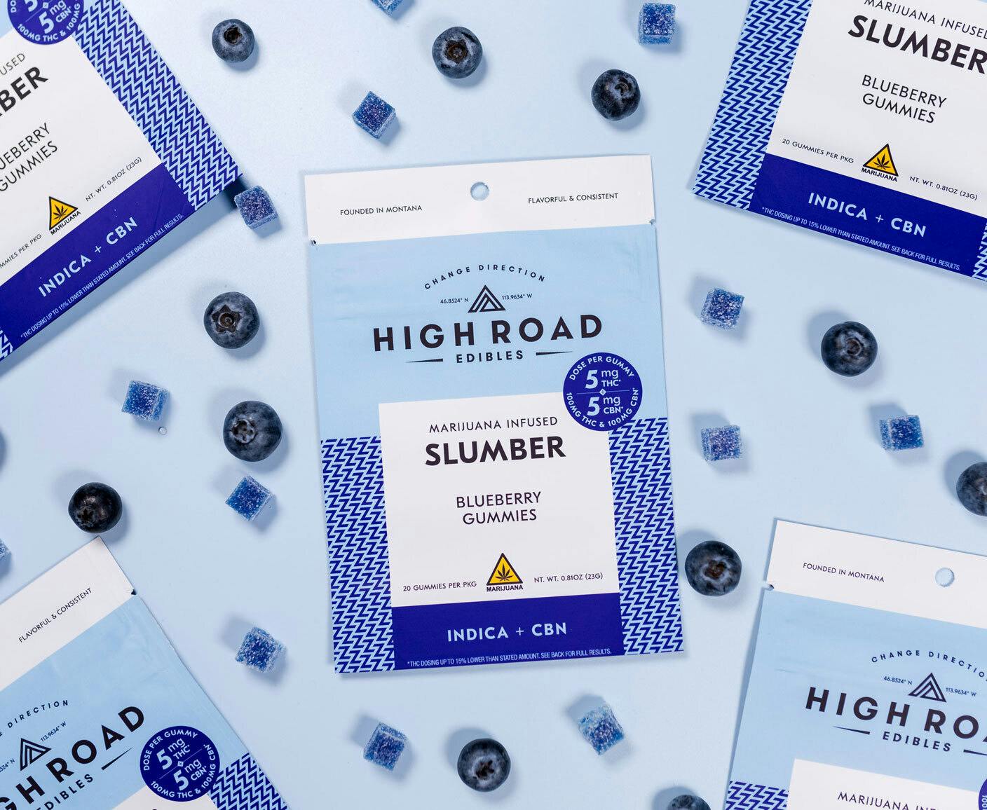 1:1 Blueberry Slumber Gummies, 100mg 20-pack