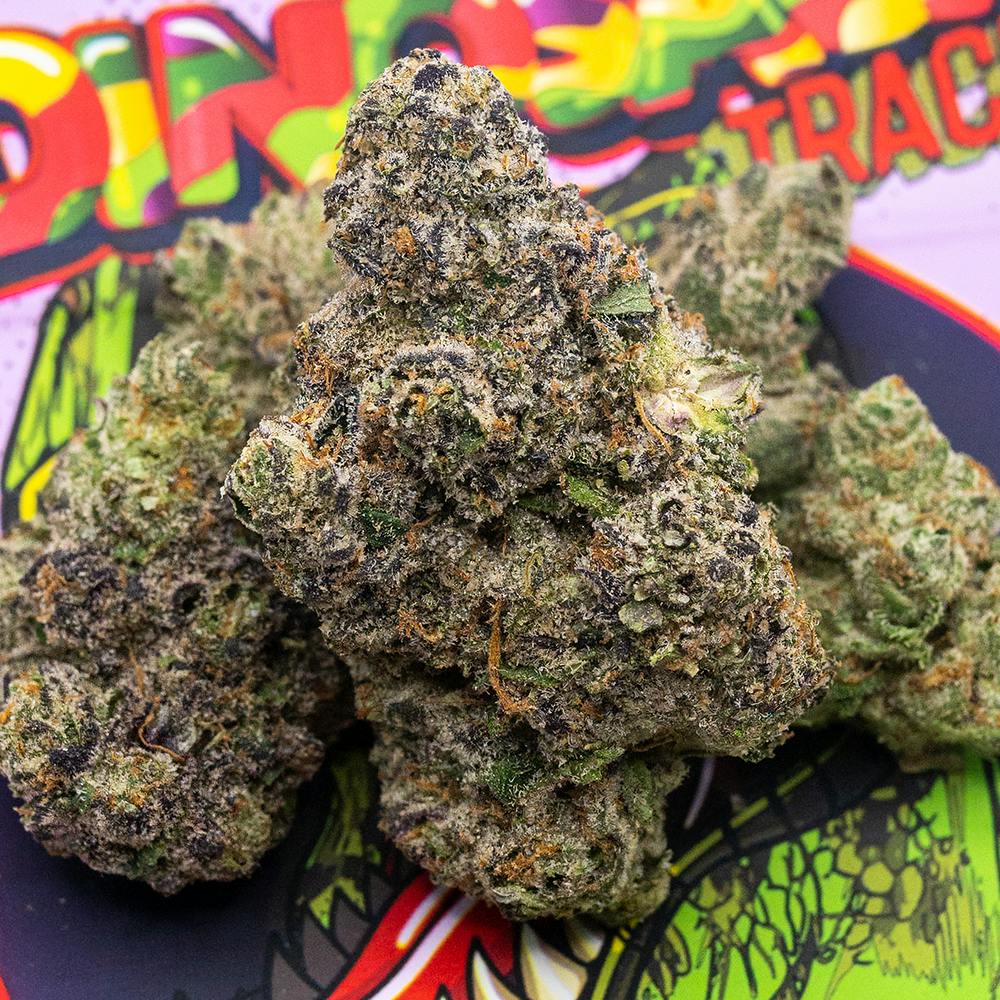 Dinosaur Tracks TEDS BUDZ