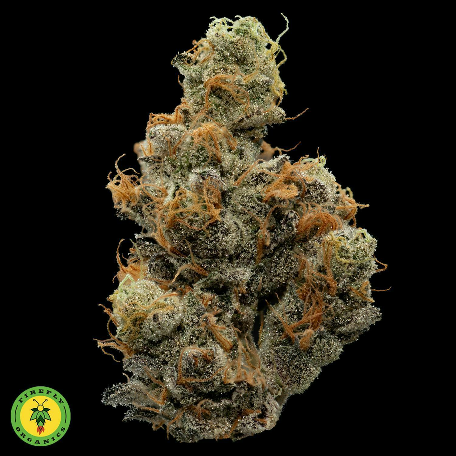 Firefly Organics | '09 Animal Cookies | Big Buds | 3.5g by Firefly Organics