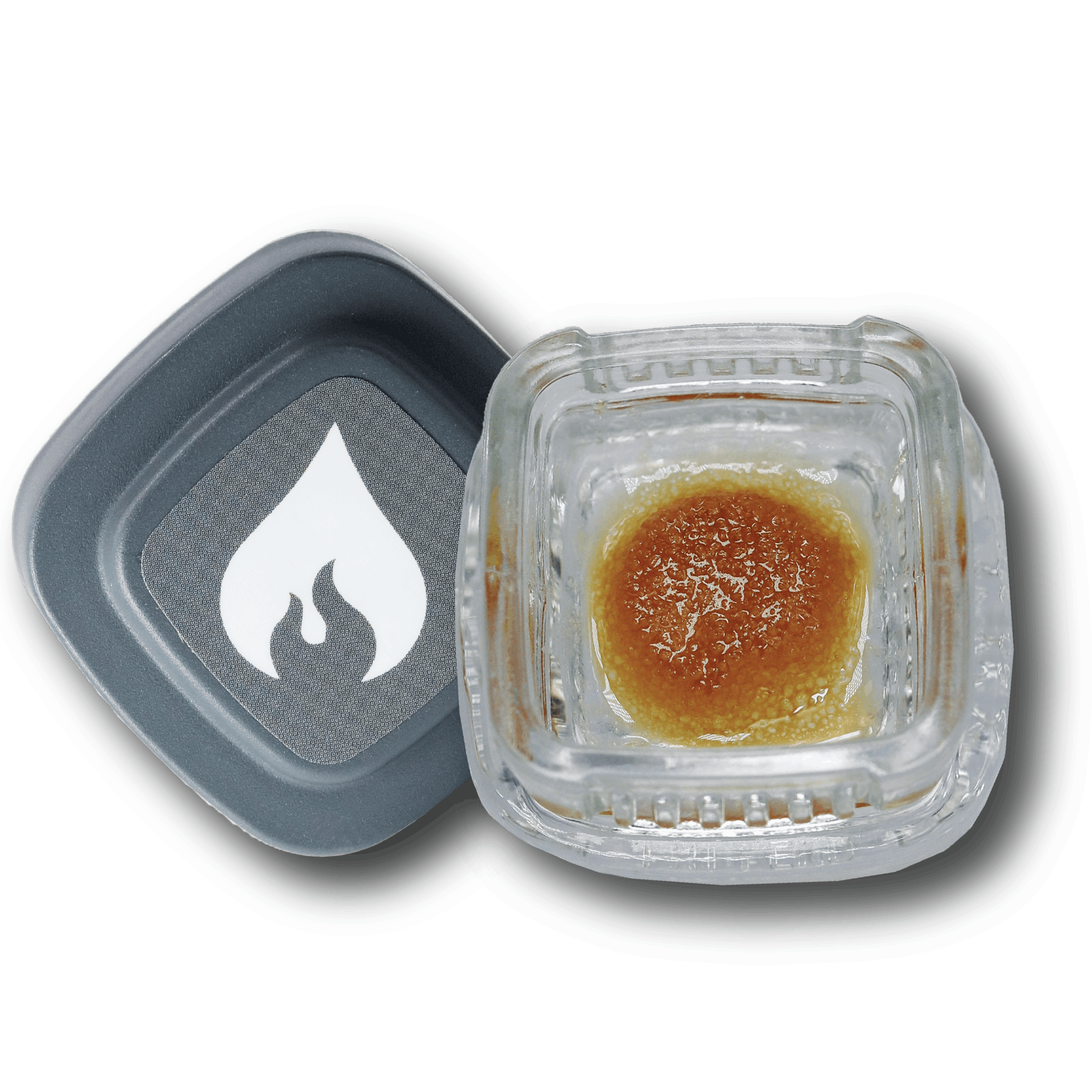 Element Cured Resin 1G Moonbow x Dosidos Element