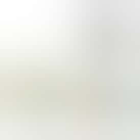 1g Bellos Pod Apple Fritter