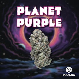 Planet Purple