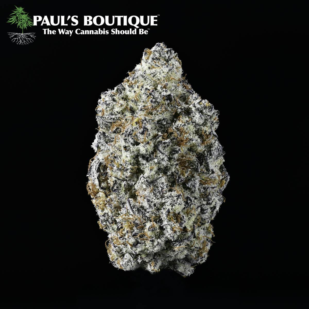 Paul's Boutique Oreoz Weedmaps