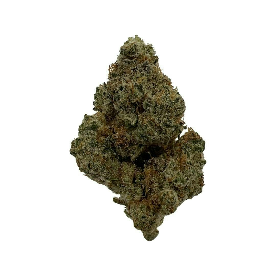 mimosa Mimosa Purple Kush Autoflowering - buy Dutchfem cannabis seeds