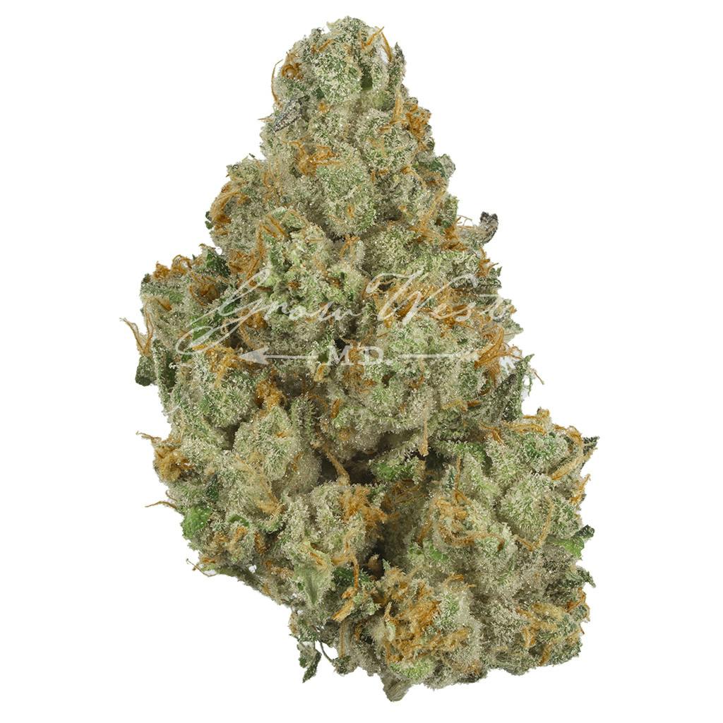 Member Berry | Gold | Trimmed Flower