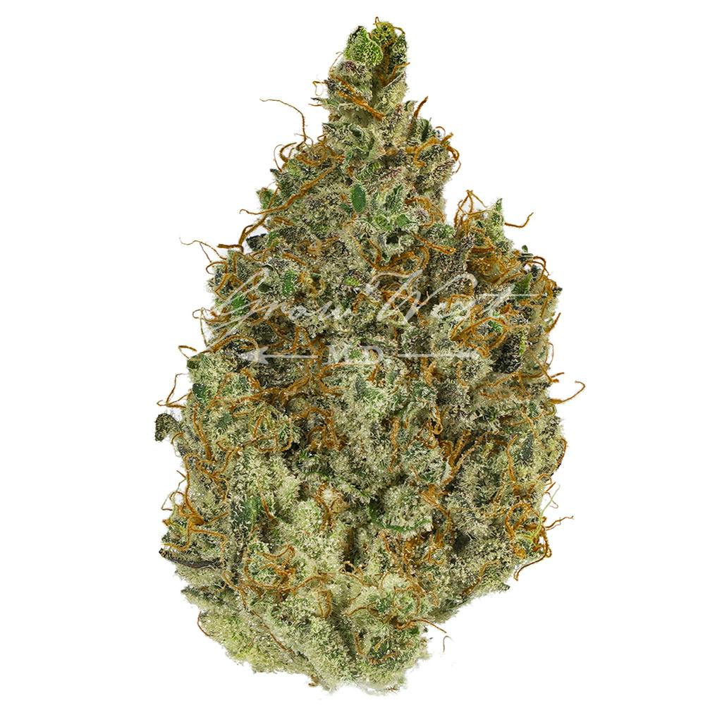 Neapolitan Space Cream | Gold | Trimmed Flower by Grow West Cannabis Company