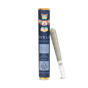 REVELRY - Blackberry Lemonade Pre-Rolls (2pk)