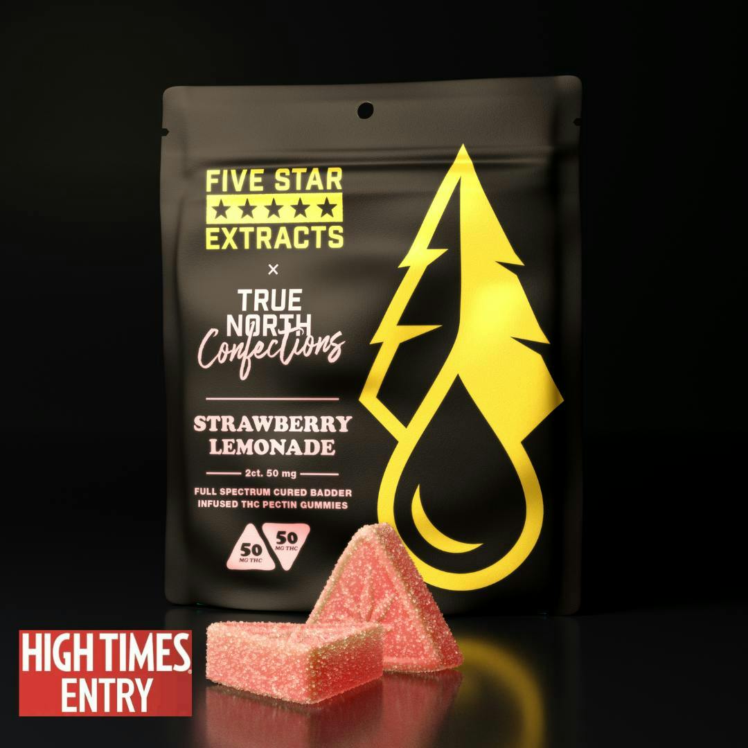 True North x FSE | Strawberry Lemonade Gummies | 100mg | 2ct | 50mg/ea by True North Collective MI