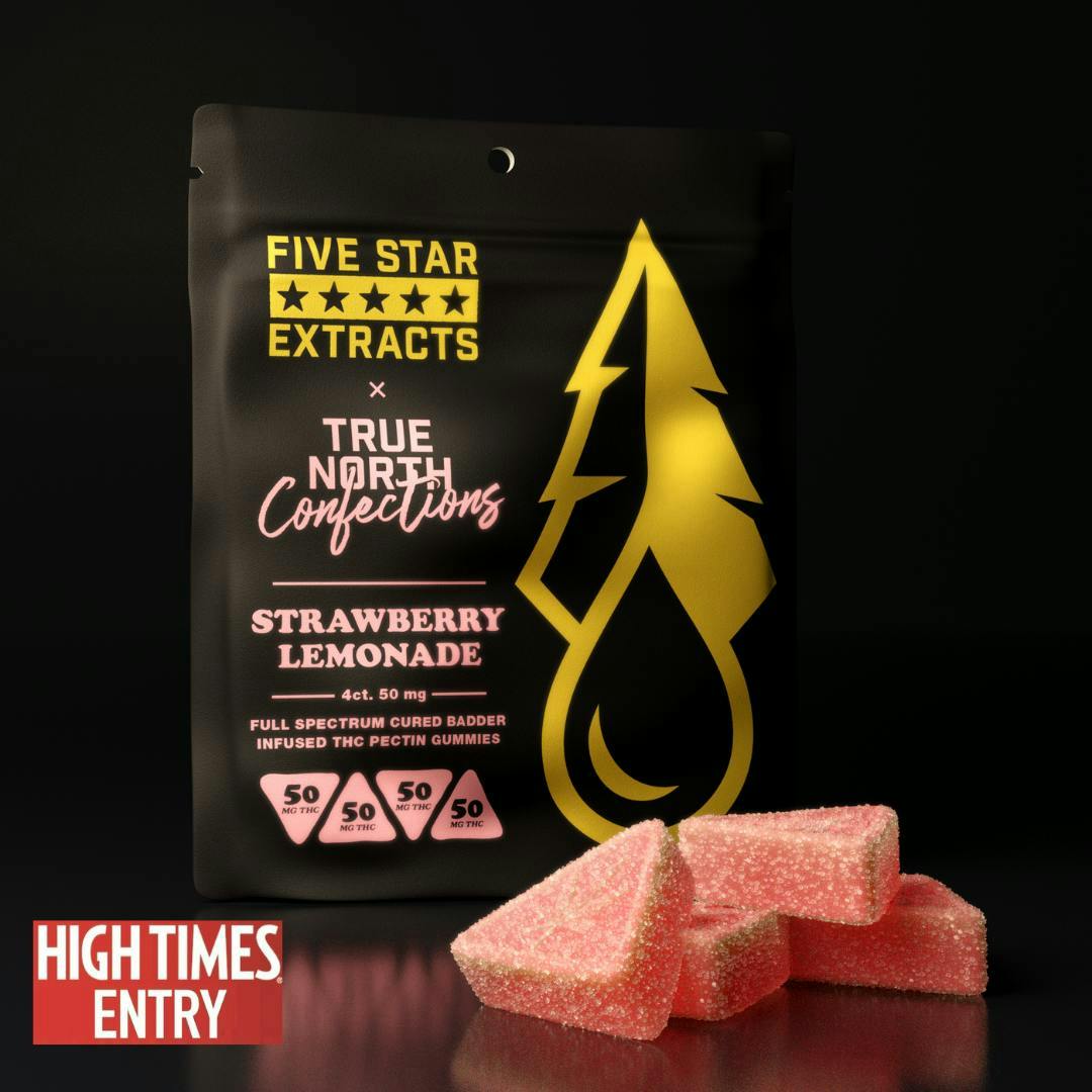 True North x FSE | Strawberry Lemonade Gummies | 200mg | 4ct | 50mg/ea by True North Collective MI