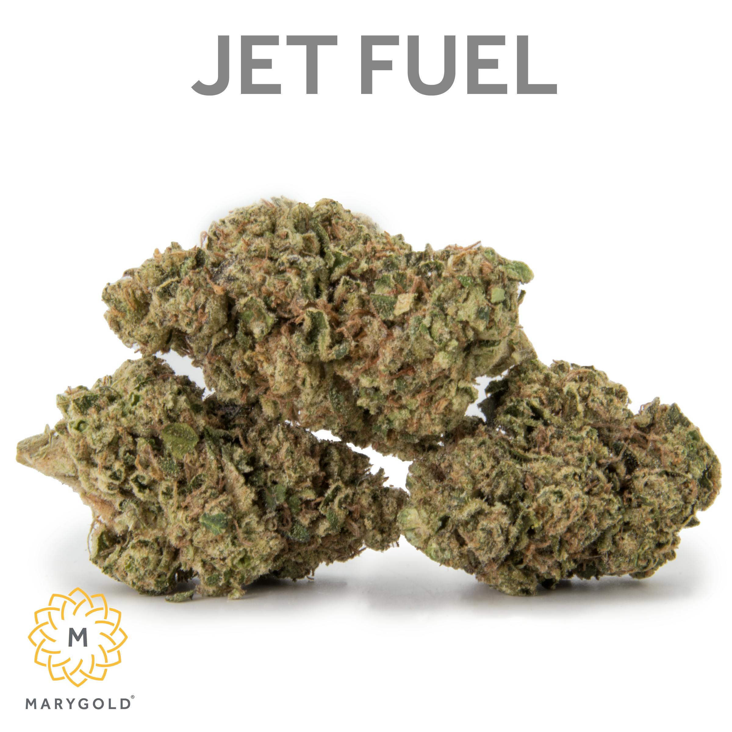 Marygold Jet Fuel 3.5 (29 THC Indica) Weedmaps