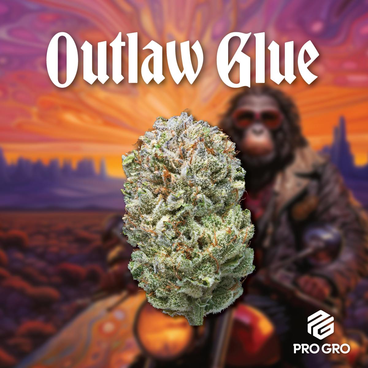 Pro Gro | Outlaw Glue | Big Buds by Pro Gro