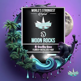 Presidential Moon Rocks - Gorilla Goo (2g)