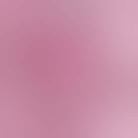 Presidential Moon Rocks - Pink Cookies (2g)