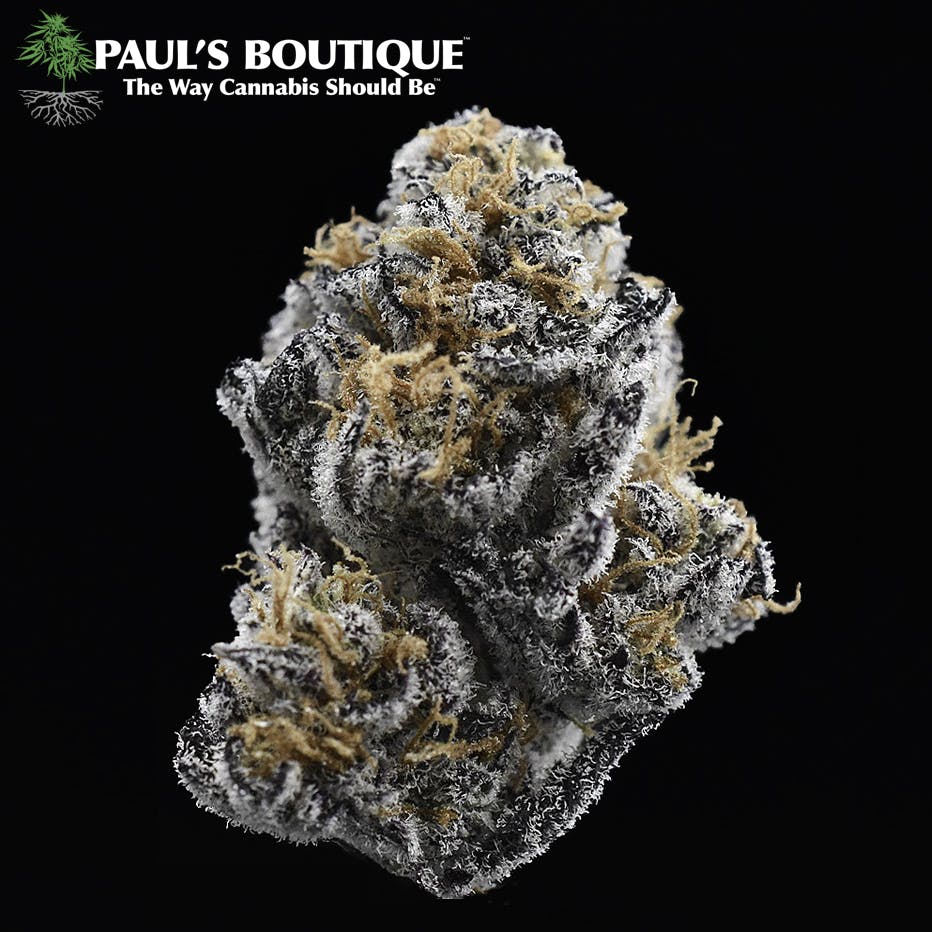 Paul's Boutique Black Dog Kush Weedmaps