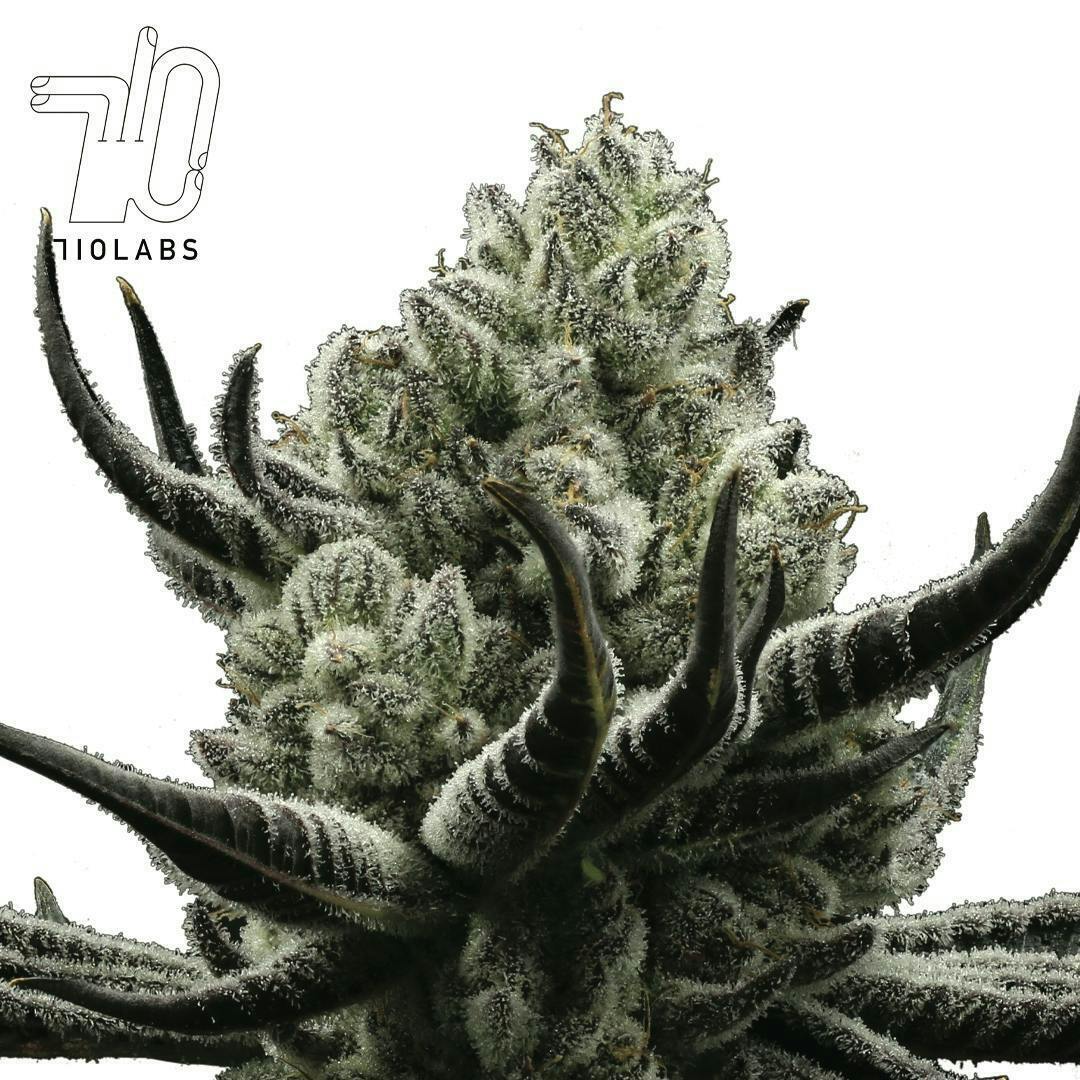 710 Labs — Cake Crasher