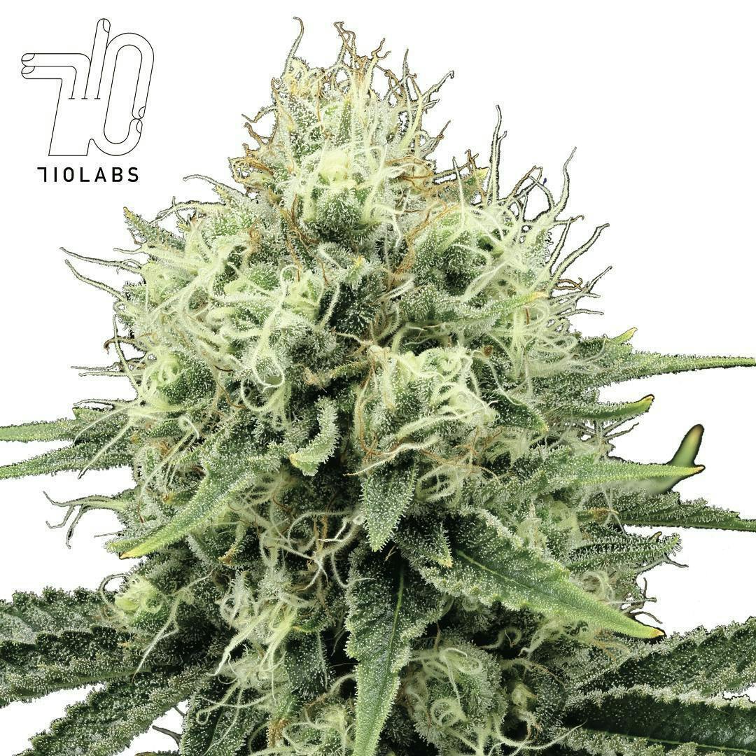 SB 36 #40 - Flower