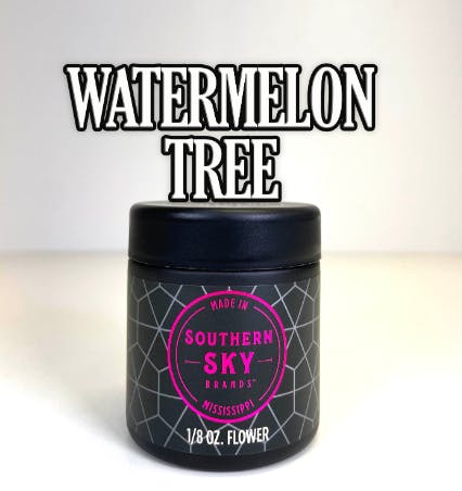 Watermelon Tree by Southern Sky Brands