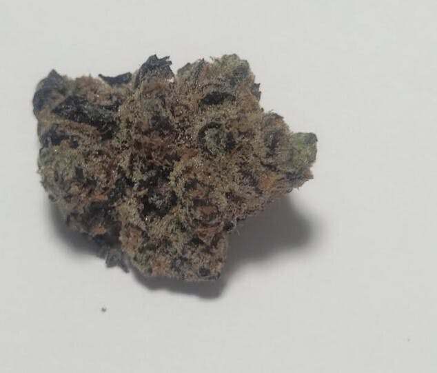 Girl Scout — GSC