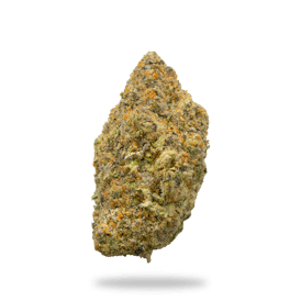 Jelly Pop Bulk- Deli