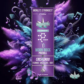 Presidential Moon Rock Preroll - Crescendo (1g)