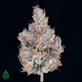 GDL Black Label Flower (3.5g) | Blü Frōōt