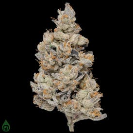 GDL Black Label Flower (3.5g) | Dalí
