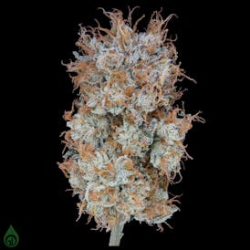 GDL Black Label Flower (3.5g) | Fortissimo