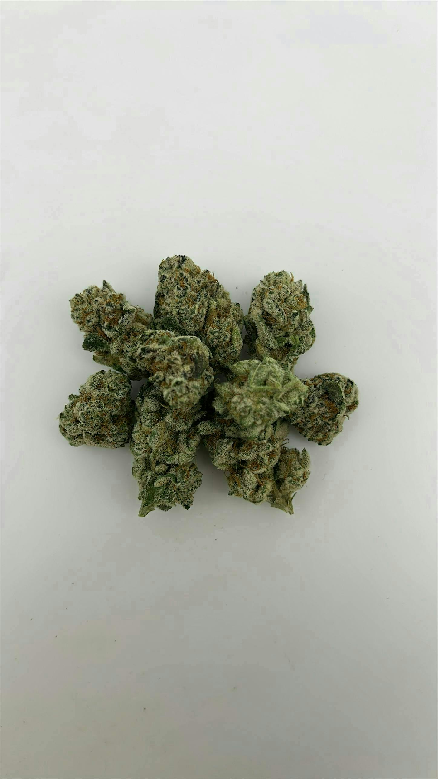 DIME BAG: Z Lato