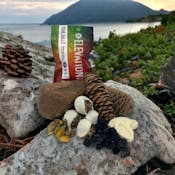 RSO Trail Bites | 100mg (25mg Per) | Emerald Elevations