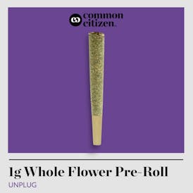 Common Citizen GMO Jungle Cake Pre Roll 1g