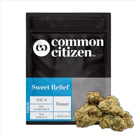 Common Citizen Ice Cream Mints PrePackaged 3.5g