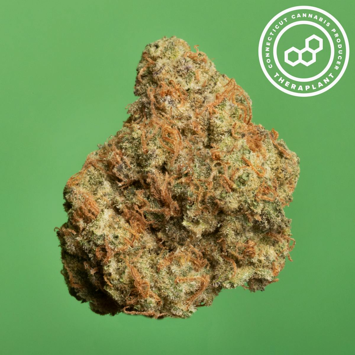 Macbrid T26.5 18290 - Theraplant