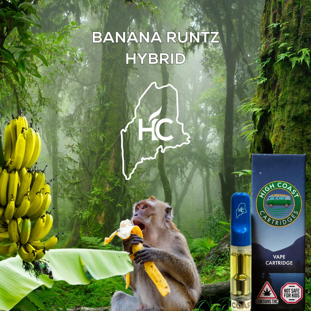 High Coast 1G THC Cartridge - Banana Runtz (Hybrid) by High Coast