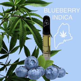 High Coast 1G THC Cartridge - Blueberry (Indica)