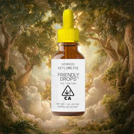 Key Lime Pie (1000mg) Tincture