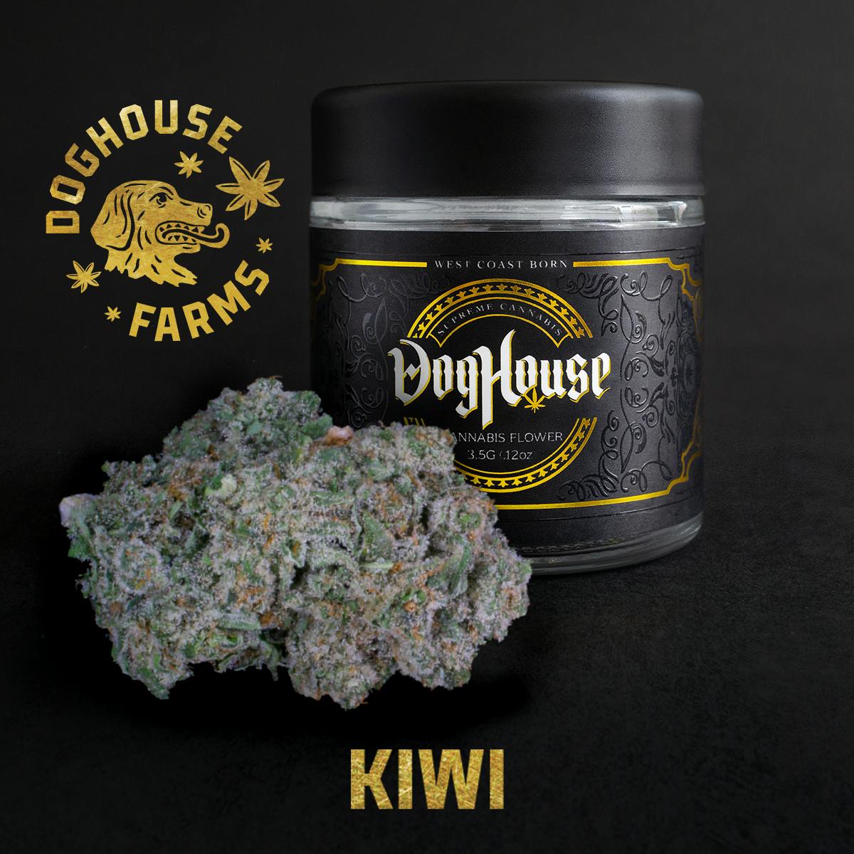 Kiwi Flower Sativa Doghouse Farms